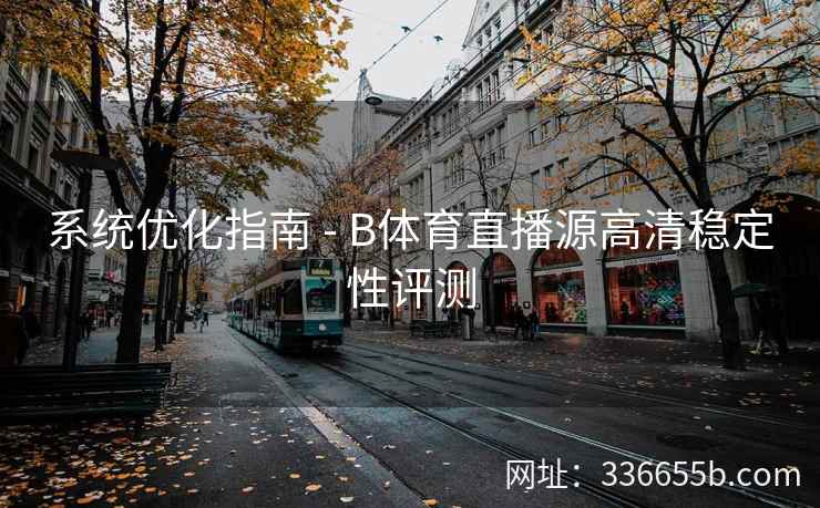 系统优化指南 - B体育直播源高清稳定性评测