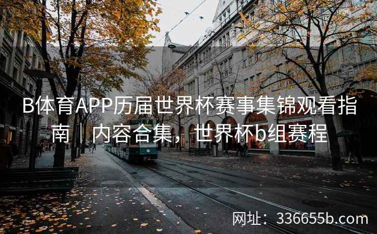 B体育APP历届世界杯赛事集锦观看指南|内容合集,世界杯b组赛程