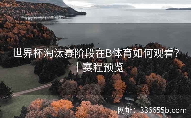 世界杯淘汰赛阶段在B体育如何观看?|赛程预览